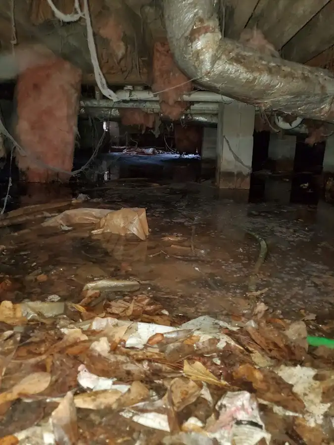 Crawl space flood assessment for Leak Detection & Repair in Bermuda Dunes